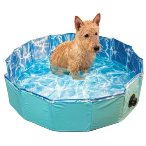 Dog Swimming Pool-Medium